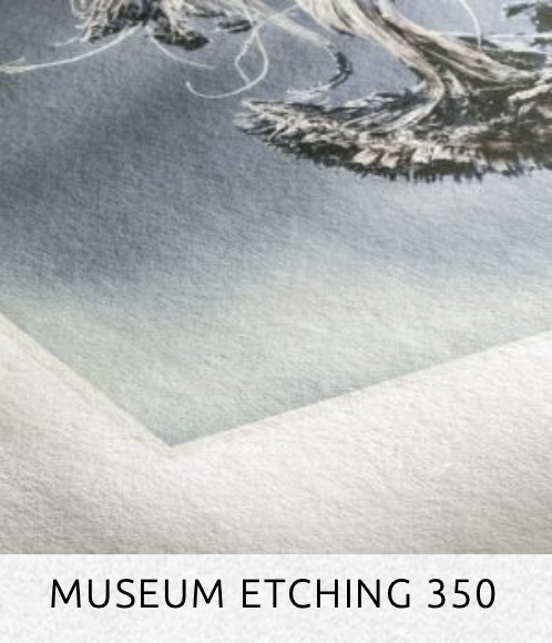 MuseumEtching350