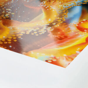 Hahnemuehle_Photo_Glossy_1920x1920